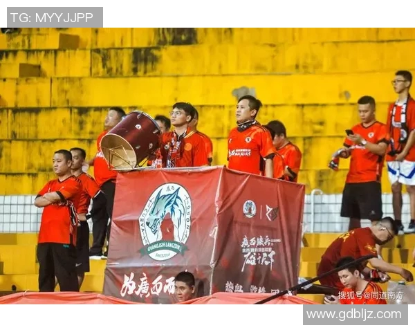 最新足球明星蓝队名单揭晓球迷期待新赛季精彩表现