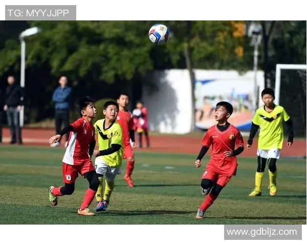 投资体育培训机构助力青少年成长与健康发展新机遇